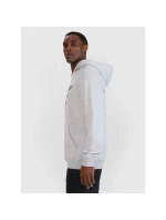 Pánska mikina 4F 4FWMM00TSWSM1766-27M s pánskymi motívmi