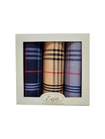 Ega obrúsky CH-857 Pánske A'3