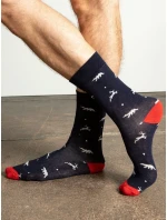 Ponožky WS SR 5637 viacfarebné Ponožky WS SR 5637 viacfarebné