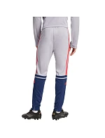 Nohavice adidas Squadra 25 Training M JP3372