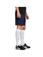 Pánske šortky Puma Team Goal navy blue 705752 06