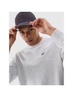 Pánska mikina s kapucňou 4F 4FWMM00TSWSM1767-27M