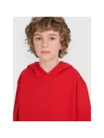 Mikina 4F JUNIOR 4FJRAW25TSWSM2490-62S