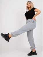 Tepláky EM DR 522.52P sivá Tepláky EM DR 522.52P sivá