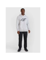 Pánska mikina 4F 4FWMM00TSWSM1766-27M s pánskymi motívmi