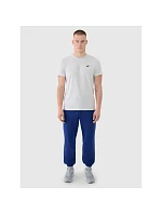 Pánske bavlnené tričko 4F 4FWMM00TTSHM2657-27M