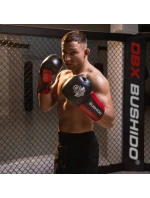 Boxerské rukavice 12oz - Phantom Red - Valor Series