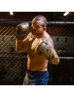 Boxerské rukavice 8oz - Gold Dragon - Valor Series