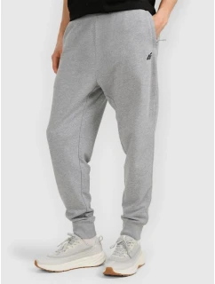 Pánske tepláky typu jogger 4F 4FRMM00TTROM1624-27M