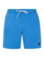 Pánske plážové šortky Protest PRTBAKY
