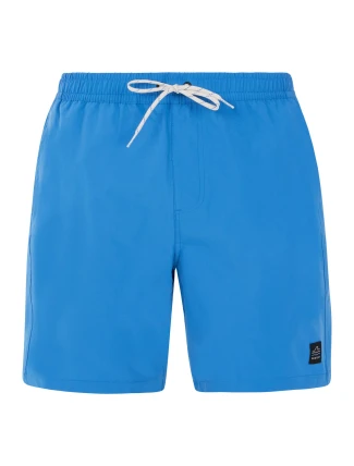 Pánske plážové šortky Protest PRTBAKY