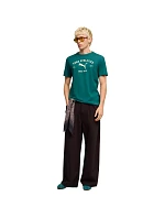 Pánske tričko Puma Class Graphic Tee green 692226 41 pánske