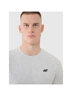 Pánske bavlnené tričko 4F 4FWMM00TTSHM2657-27M