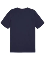 Puma Team Goal Casuals Tee M 658615 06 muži