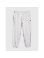 Pánske tepláky 4F 4FWMM00TTROM1139-27M