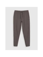 Pánske rýchloschnúce tréningové nohavice 4F 4FWSS25TFTRM0781-81S