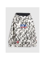 Pánska mikina s kapucňou 4F 4FRAW25TSWSM2569-91A