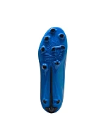 Puma Ultra 6 Play FG/AG 108532 01