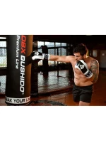 Boxerské rukavice 10oz - Edge - Valor Series