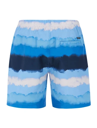 Pánske plážové šortky Protest PRTHAMSEY