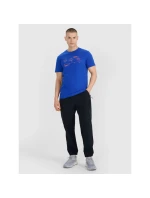 Pánske nohavice na voľný čas 4F 4FWSS25TTROM1001-20S