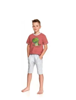 Detské pyžamo Taro Alan 2215