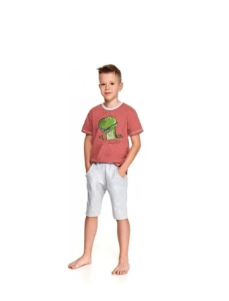 Detské pyžamo Taro Alan 2215