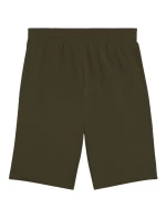 Puma Ess 2 Color No. 1 Logo M 684715 70 Šortky