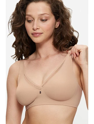 Soft model 229990 Triumph