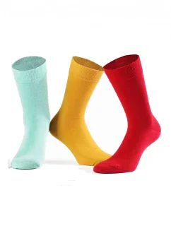 Pánske ponožky Wola Perfect Man W 94.N03