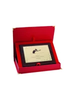 Plastový diplom s vygravírovaným kovovým štítkom + puzdro Plastový diplom s vygravírovaným kovovým štítkom + puzdro