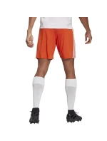 Pánske šortky Squadra 21 Short M GN8084 - Adidas