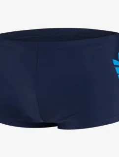 Plavky Nike Shift Logo M NESSD638 440