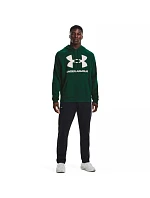 Pánska mikina Rival Fleece Big Logo HD M 1357093 330 - Under Armour