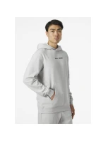 Helly Hansen Core Graphic Sweat Hoodie M 53924 825 Helly Hansen Core Graphic Sweat Hoodie M 53924 825