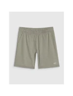 Pánske rýchloschnúce tréningové šortky 4F 4FWSS25TFSHM0911-44M