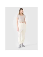 Dámske hladké tričko 4F 4FRSS25TTSHF2695-83S