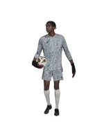 Pánsky brankársky dres HB1614 sivý - Adidas