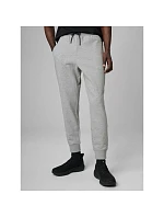 Pánske tepláky typu jogger 4F 4FRMM00TTROM2020-27M