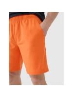 Pánske rýchloschnúce tréningové šortky 4F 4FWSS25TFSHM0911-70S