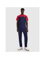 Pánske tričko s potlačou 4F 4FRAW25TTSHM3292-31S