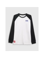 Pánske tričko s dlhým rukávom 4F 4FRAW25TLONM633-10S