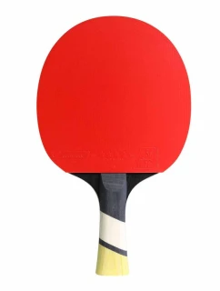Raketa na stolný tenis Cornilleau Perform 600