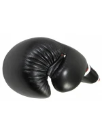 Boxerské rukavice MASTERS RBT-A (ZMENA CENY)