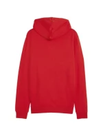 Puma Team Goal Casuals Hooded M 658595 01