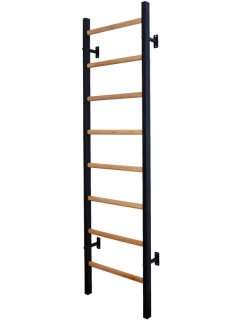 DREVENO-KOVOVÝ GYMNASTICKÝ REBRÍK SO 4 DRŽADLAMI BENCHK 200B