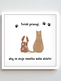 Personalizovaný magický fotob obraz v ráme – štvorcový 20x20 – ilustrácie domácich miláčikov