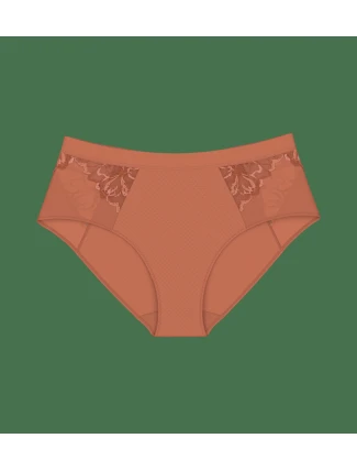 Wild Azalea Florale Maxi - Marhuľové brandy - TRIUMPH Marhuľové brandy - TRIUMPH