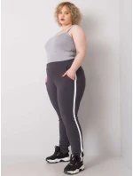 Tepláky RV DR 6643.95 grafit