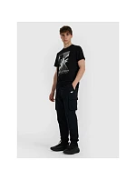 Pánske tričko 4F 4FRAW25TTSHM3258-20S